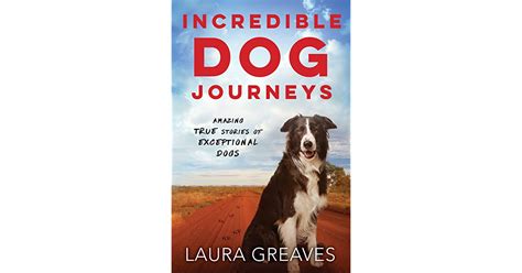 Incredible Dog Journeys By Laura Greaves