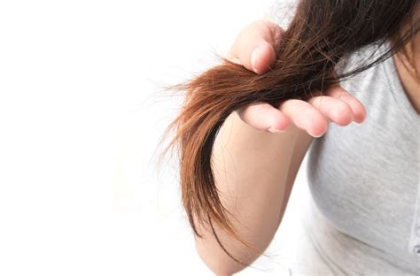 9 Ways To Fix Dry Damaged Hair National Globalnewsca