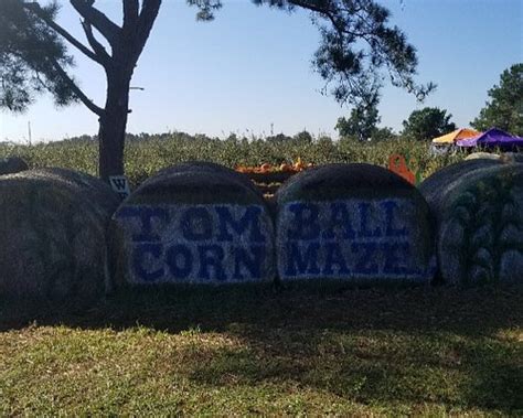 The 10 Best Things To Do In Tomball 2022 With Photos Tripadvisor