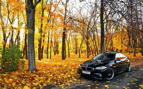 Black Bmw In Forest Hd Cars 4k Wallpapers Images