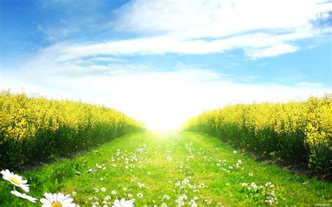 Spring Fields Hd Wallpapers Wallpaper Cave