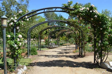 Descanso Gardens Los Angeles Parks Beautiful Places To Visit Los