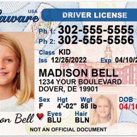 Kid Driver Licenses Free Shipping Within The Usa
