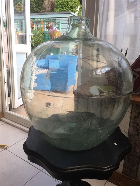 With so many styles available, we're often asked, which terrarium container should i choose? fill your jar or bowl terrarium with foliage plants or succulents. Very large glass vintage terrarium. Carboy. in B79 ...