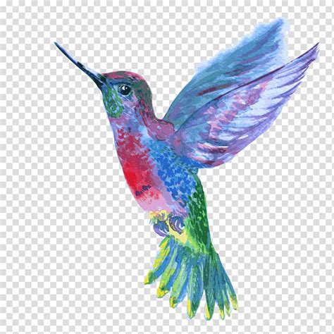 Download Hummingbird clipart purple hummingbird, Hummingbird purple ...