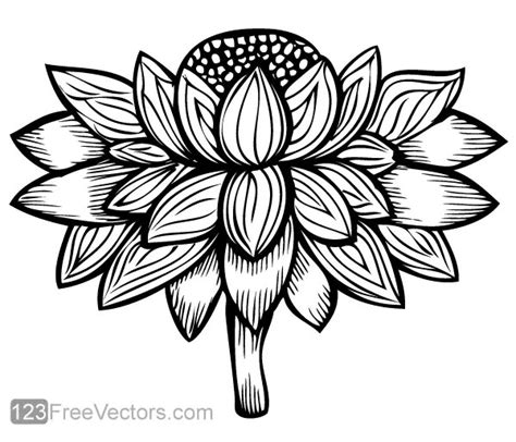 30 Flower Outline Vectors Download Free Vector Art And Graphics