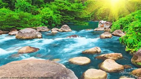 Relaxing Nature Sounds Water Sound 24 Hours Gentle River And Stream Mp4