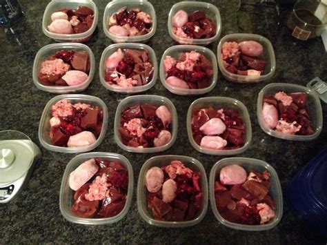 We did not find results for: A Simple Guide to Switching to Homemade Raw | Raw dog food ...