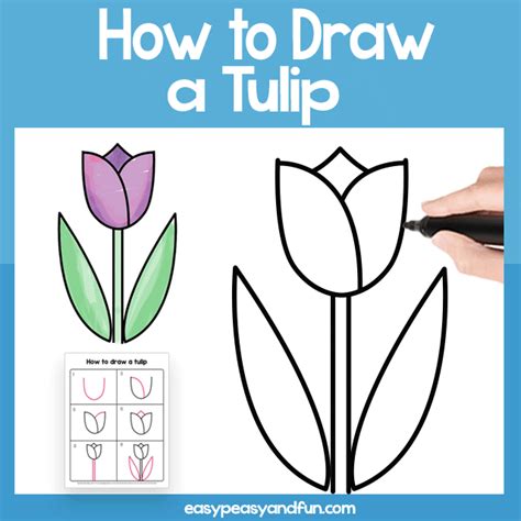 How To Draw A Tulip For Young Ones Uncomplicated Phase By Step