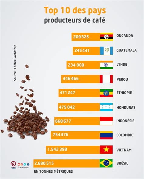 Top Des Pays Producteurs De Caf