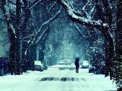 Winter Frost Snow Road Trees Couple Girl Guy Kiss Mood Feelings Photo