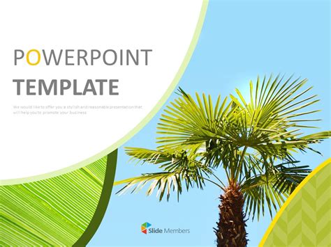 Palm Trees In Summer Free Images For Presentations