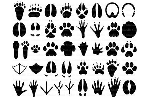 31 Animal Paw Svg Paw Prints Svg Files Paw Clipart 97378 Svgs