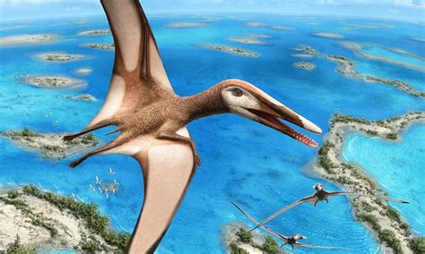 Researchers Discover New Species Of Pterosaur That Lived On Crustaceans