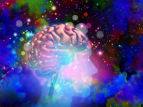 How Do Psychedelics Work In The Brain Flipboard