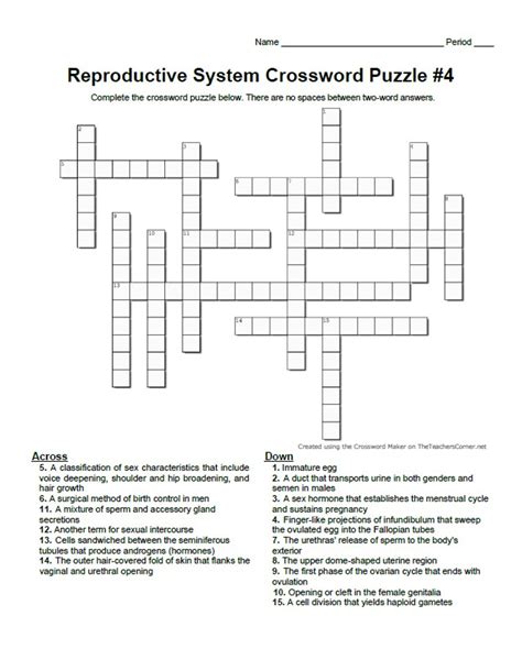 Reproductive System Crossword Puzzle Series