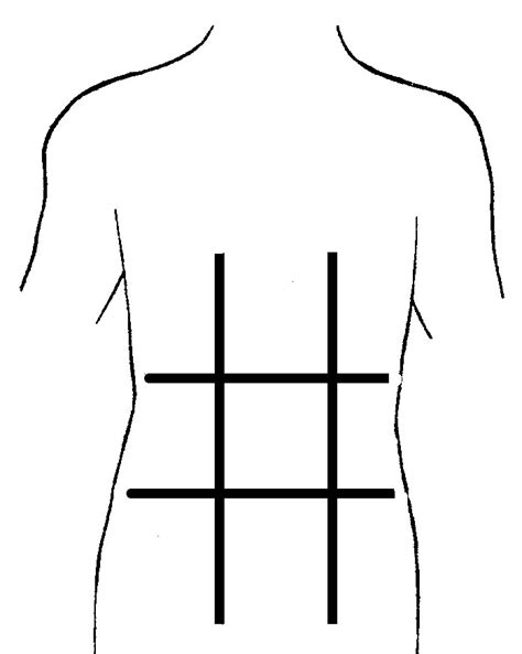Anatomical Position Worksheets Worksheeto Com