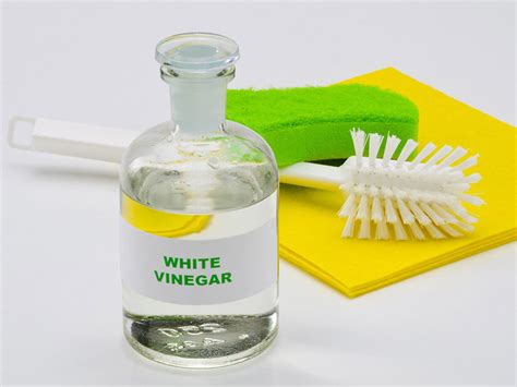 The vitrex mould remover can be used frequently enough to maintain the natural beauty of your tiles and grout, straight from the bottle. 5 Ways to remove mold from grout