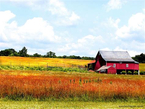 18902, doylestown, bucks county, pa. Barn & field near Erwinna, Bucks County, PA USA | Bucks ...