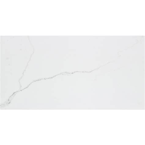Shop Calacatta 7 Pack White Porcelain Floor And Wall Tile Common 12
