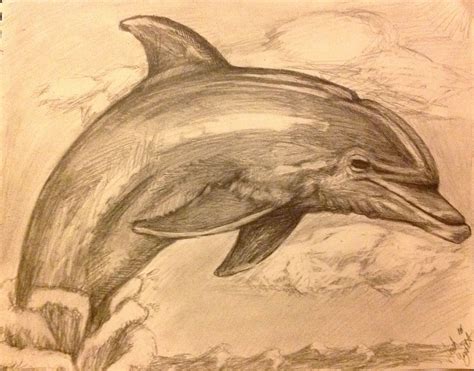 Dolphin Sketch By Josh Wyatt Dolphin Drawing Drawing Skills Drawings