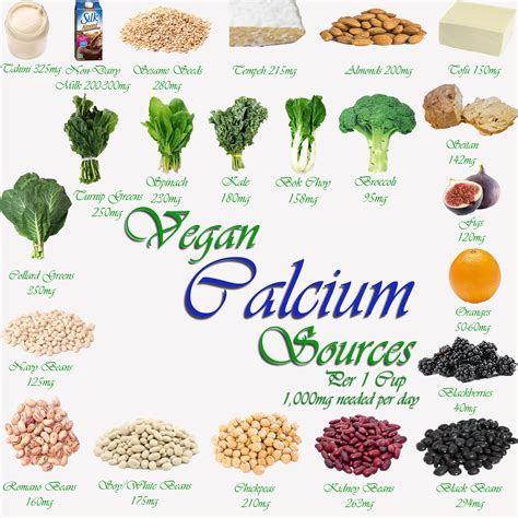 Where Do Vegans Get Their Calcium Ater Imber