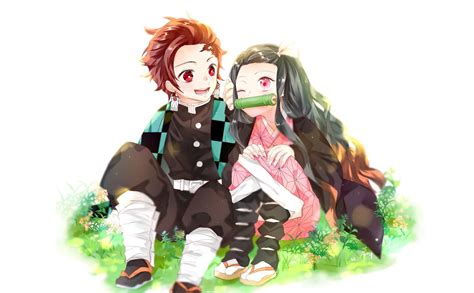 Anime Demon Slayer Kimetsu No Yaiba Tanjirou Kamado Nezuko Kamado