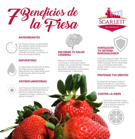6 Beneficios De Las Fresas Infografias Y Remedios Images