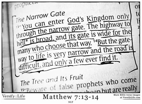 The Narrow Gate Sacred Scripture Bible Doctrine Book Of Matthew