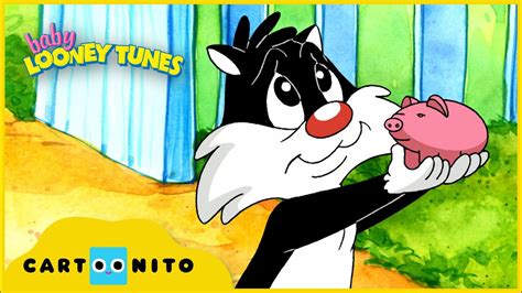 Baby Looney Tunes Cool Sylvester Cartoonito Uk Youtube
