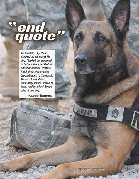. i have an irregular heartbeat and he's cpr certified. 14 best quotes... images on Pinterest | German shepherd puppies, Military working dogs and ...