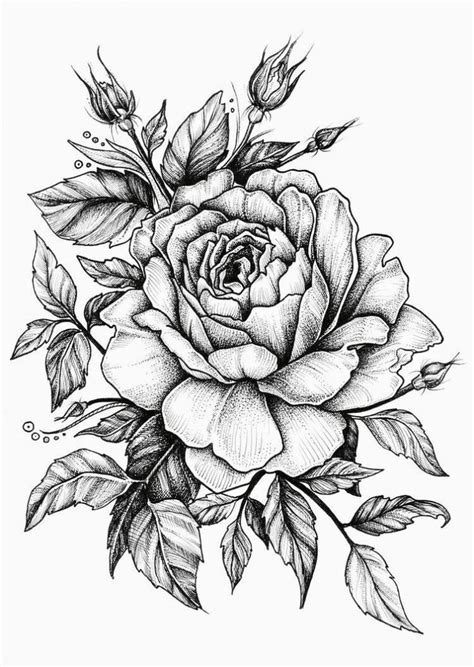 Kreativ ein werk des schreiners, der mit skizzen linien auf das gewebe mit einem stück seife. 25 Beautiful Flower Drawing Information & Ideas | Blumen ...