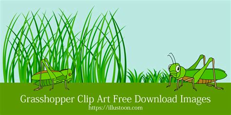 Grasshopper Clip Art Free Download Images｜illustoon