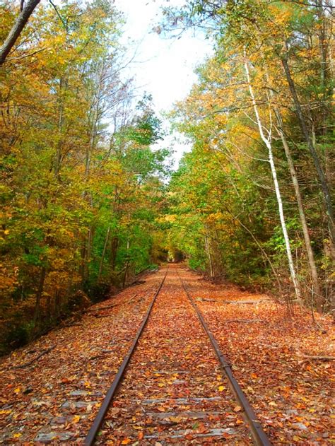 An Abandoned Railroad Bed In Greenfield Nh Train Tracks Abandoned