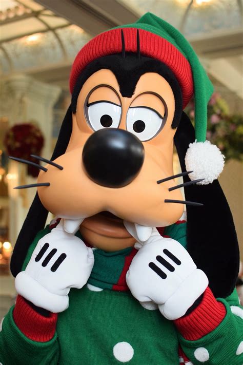 Goofy In Disney World Christmas Outfit
