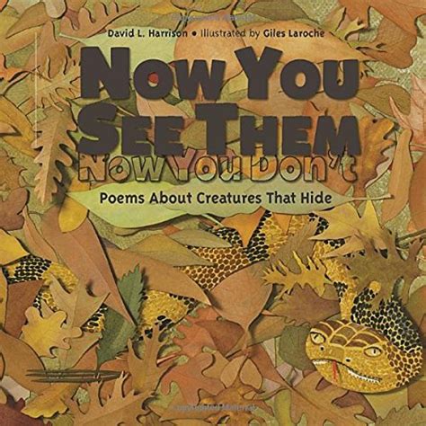 Books 4 Learning Now You See Them Now You Dont Poems About