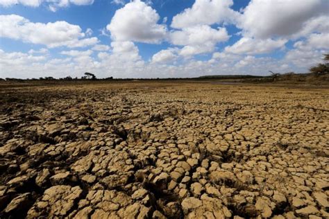 Food Insecurity To Spike In Kenya Amid Drought Asian News From Uk