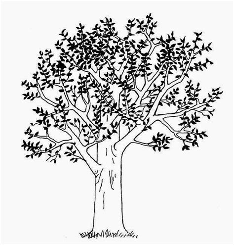 Kumpulan Sketsa Pohon Mangga Terlengkap Blog Pengajar Tekno