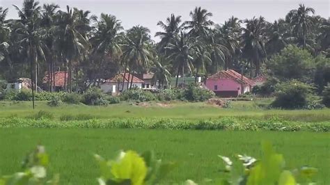 Beautiful Indian Villages In East Godavari District Andhrapradesh Youtube