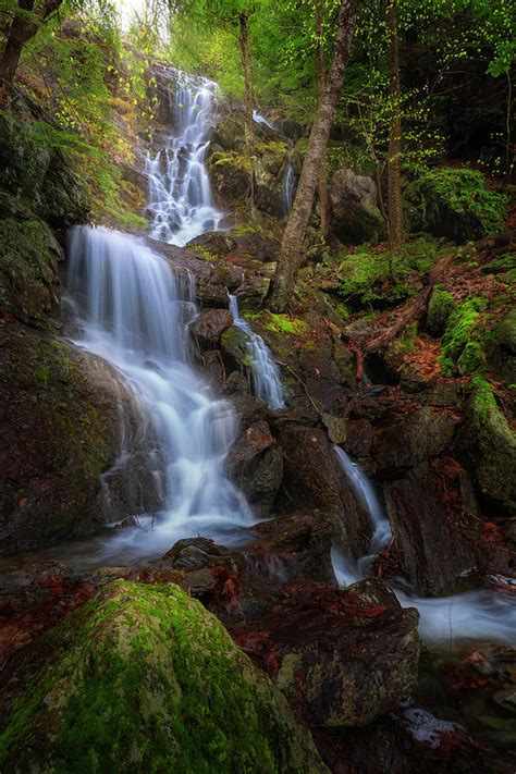 Brace Mountain Trail Falls Photograph By Bill Wakeley Fine Art America