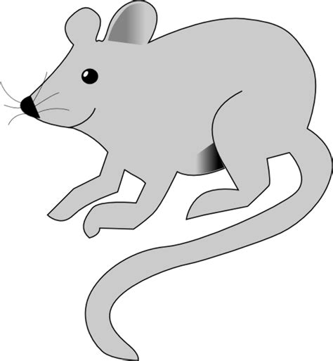 Download High Quality Rat Clipart Gray Transparent Png Images Art