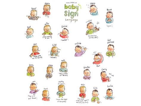 Baby Sign Language Poster Illustrations Orbie