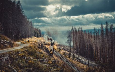 Green Trees Under White Sky In Harz Deutschland 1920 X 1200 Hd