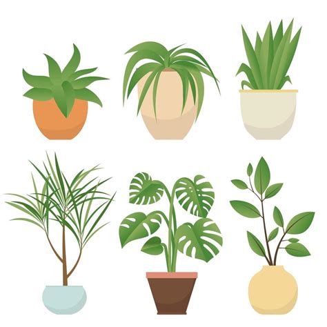 Set Of Potted Plants 1394969 Vector Art At Vecteezy