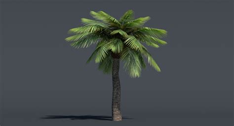 3ds Max Palm Tree