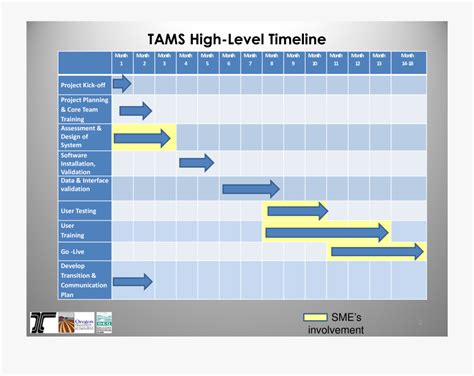 Business Timeline Template High Level Project Plan Template Word