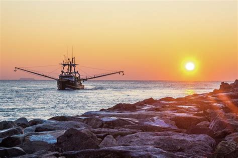 Fishing Boats Of Point Pleasant Nj Photograph By Bob Cuthbert Fine