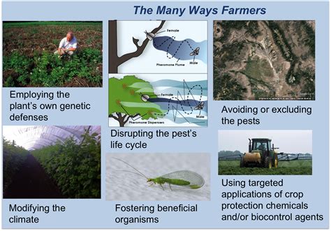 The pestle analysis example extends the version of the pest model. The Many Ways Farmers Control Pests | Science 2.0