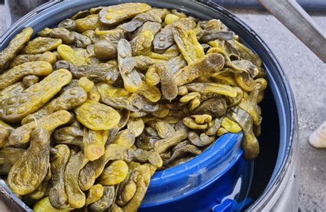 Male Sex Drugs Smuggled Into Israel In Barrels Of Pickles The