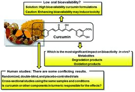 Curcumin As A Functional Food Derived Factor Degradation Products